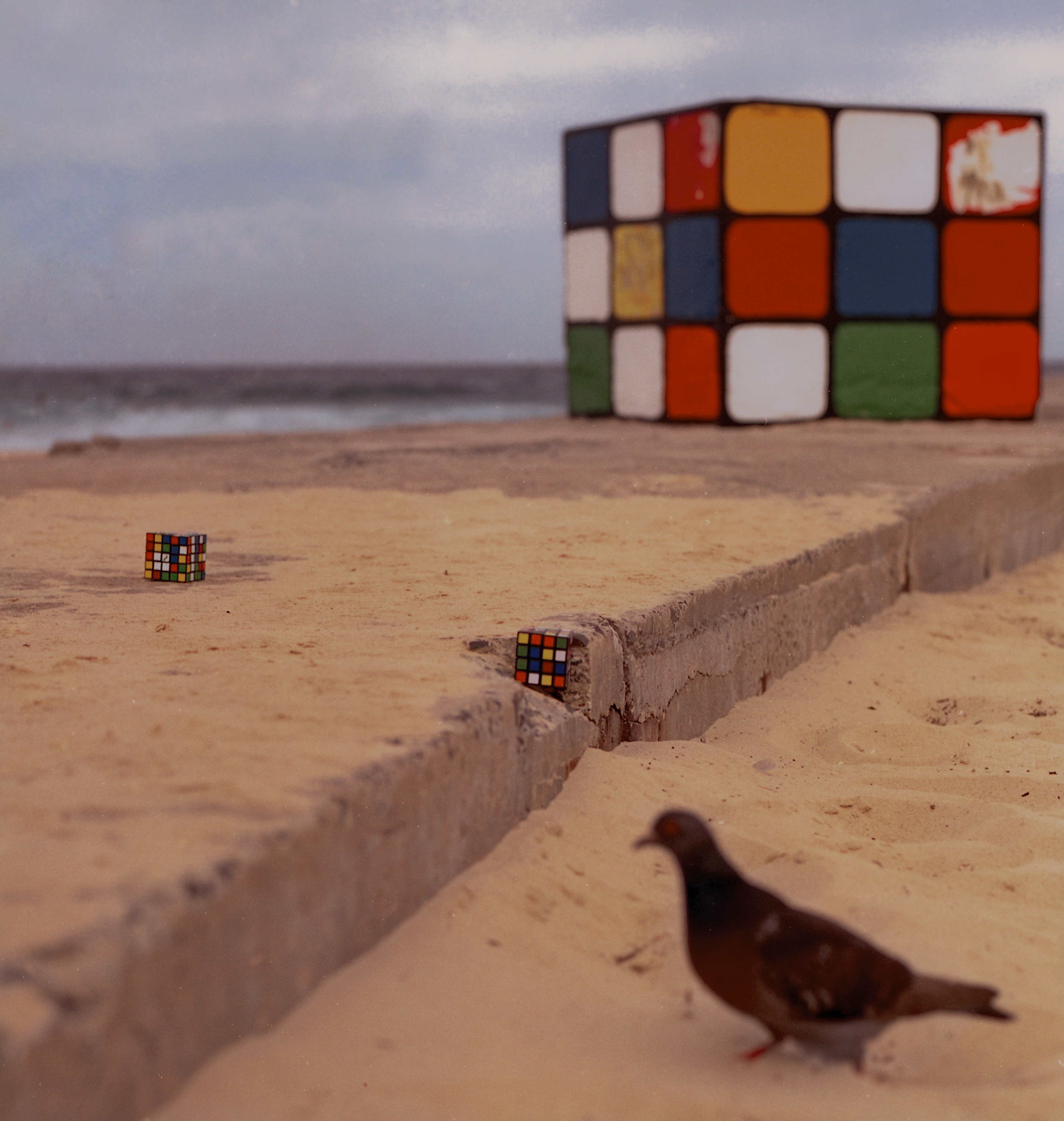 Puzzles (Learning) - 2025 Sydney documentary photography, color negative film - Hu Xing Photography. Shot on Hasselblad 500C/M. 2025年悉尼人文纪实摄影，彩色负片，悉尼海滩风景，哈苏 - 胡星摄影